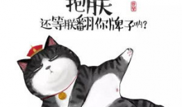 吾皇漫画,穿越古今的奇幻冒险之旅